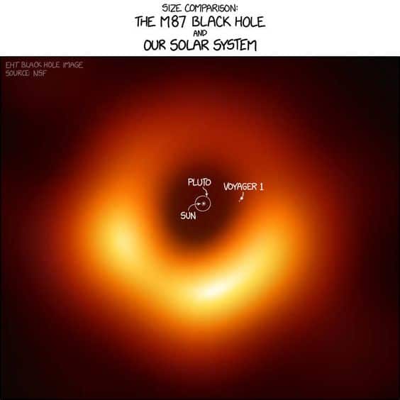 Black Holes Come In Many Forms
